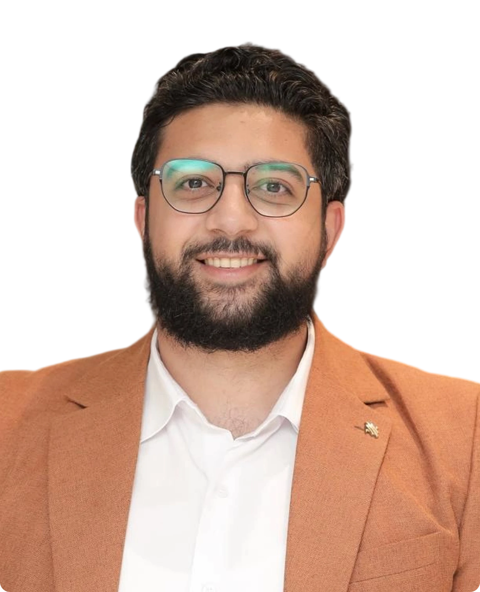 م. محمد التلاوى