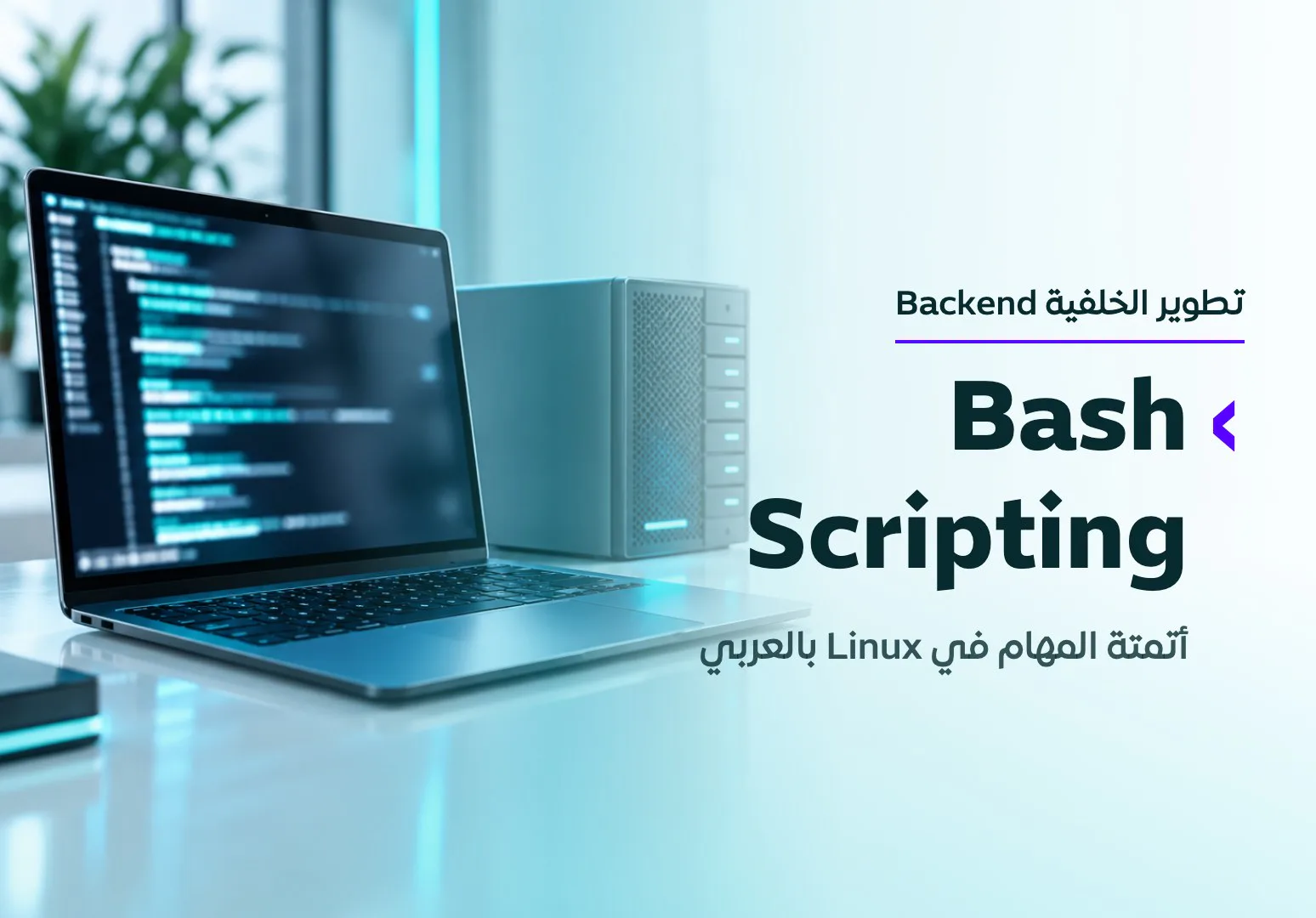Bash Scripting