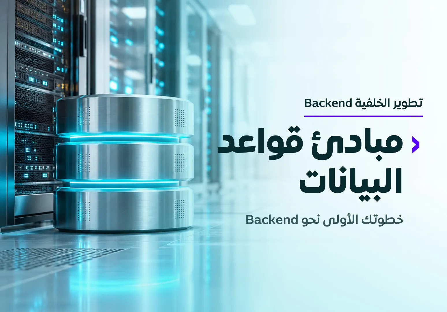 مبادئ قواعد البيانات