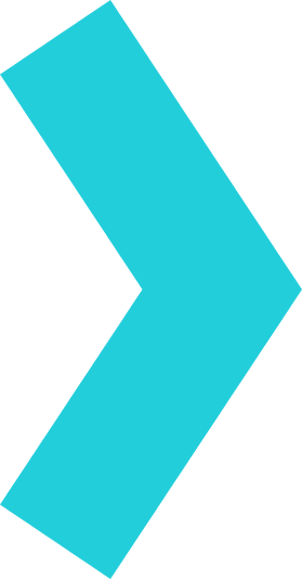 Vector